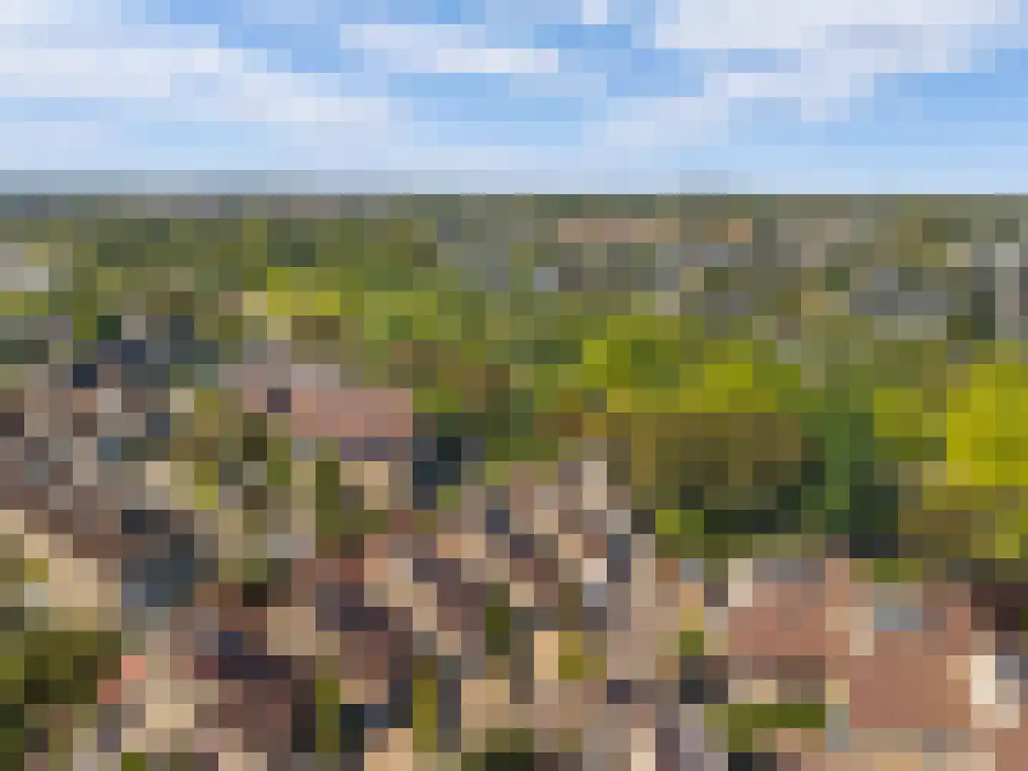 Bloemgaarde 26 Castricum thumbnail 42