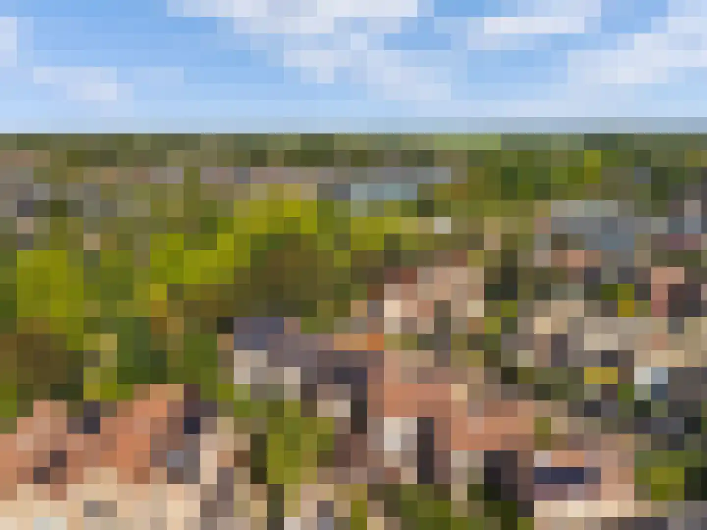 Bloemgaarde 26 Castricum thumbnail 43