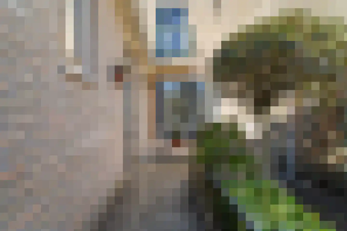 Bloemgaarde 26 Castricum thumbnail 8