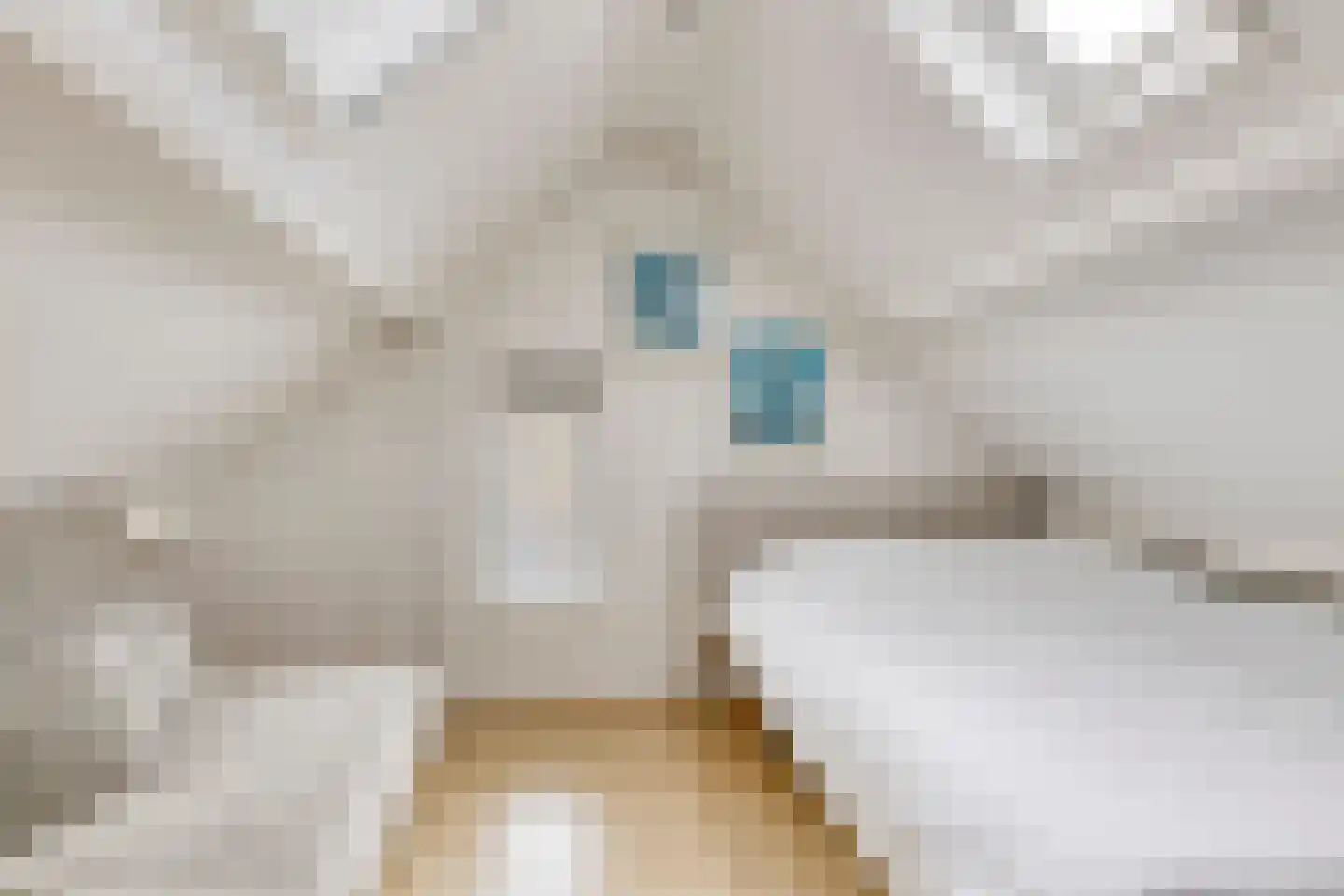 Bloemgaarde 47 Castricum thumbnail 22