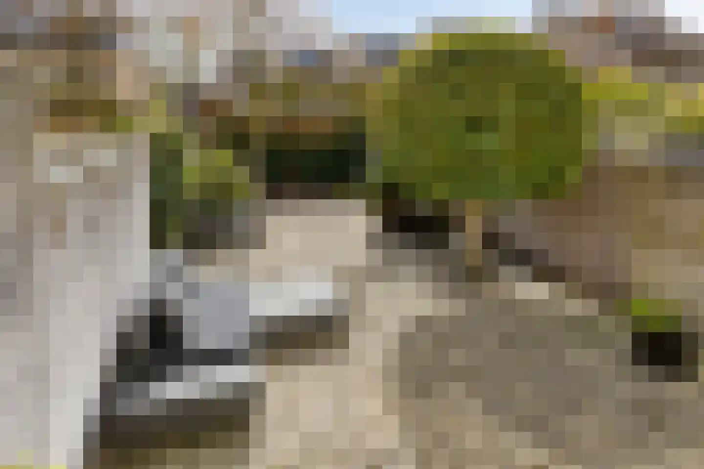 Bloemgaarde 47 Castricum thumbnail 25