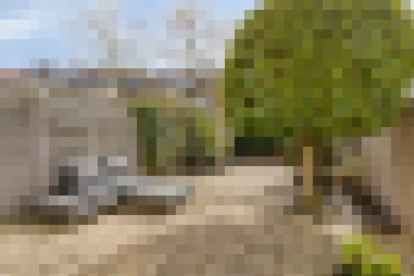 Bloemgaarde 47 Castricum thumbnail 26