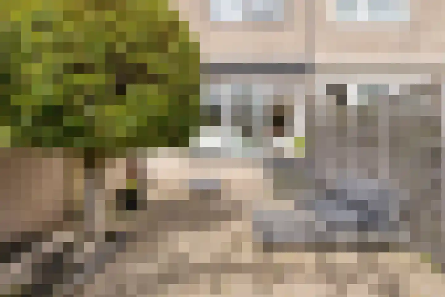 Bloemgaarde 47 Castricum thumbnail 27