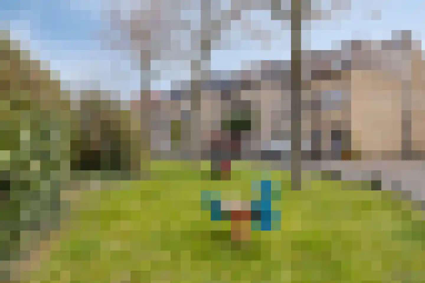 Bloemgaarde 47 Castricum thumbnail 32