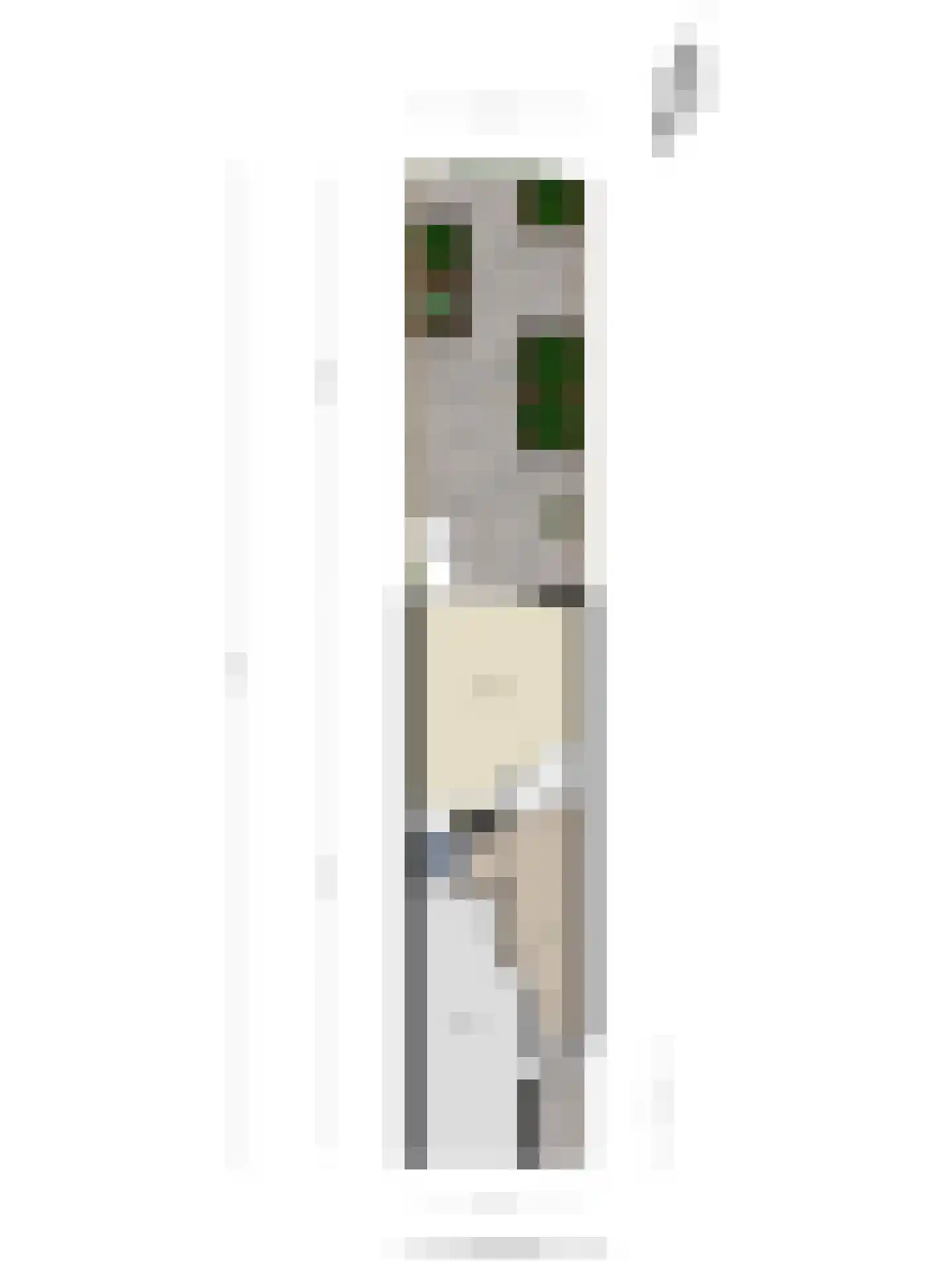 Bloemgaarde 47 Castricum thumbnail 35