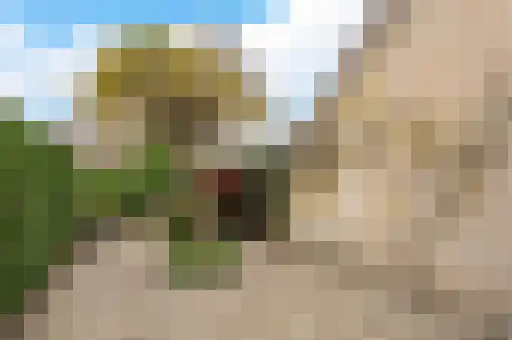 Bloemgaarde 61 Castricum thumbnail 35