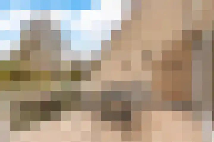 Bloemgaarde 61 Castricum thumbnail 36