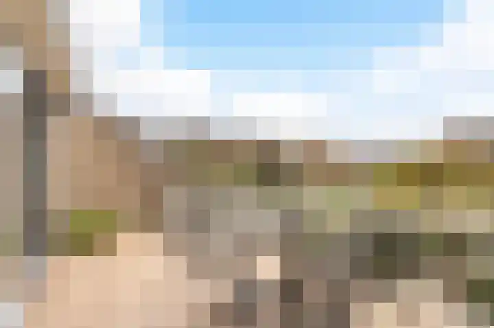 Bloemgaarde 61 Castricum thumbnail 37