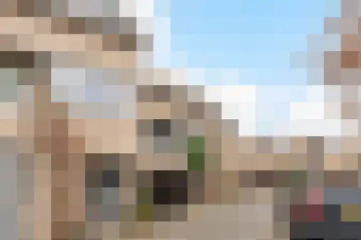 Bloemgaarde 61 Castricum thumbnail 38