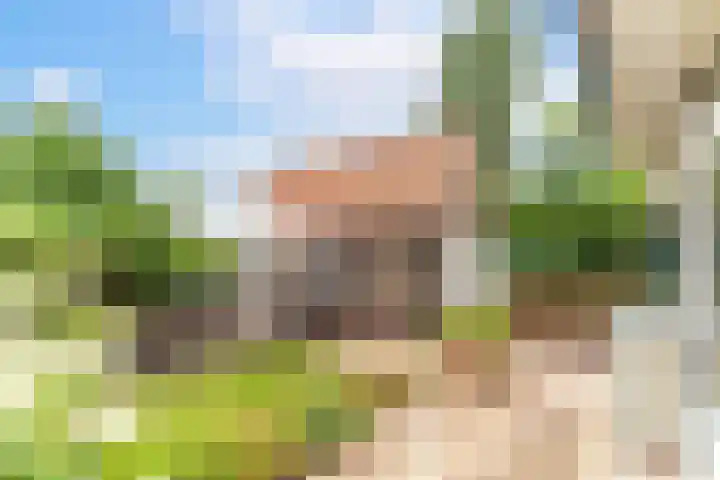 Bloemgaarde 61 Castricum thumbnail 9