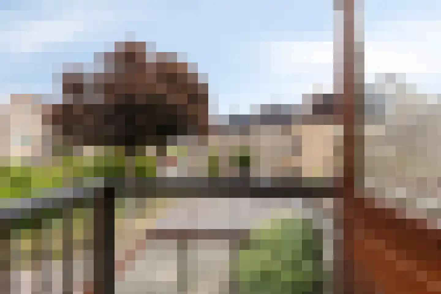 Bloemgaarde 73 Castricum thumbnail 23