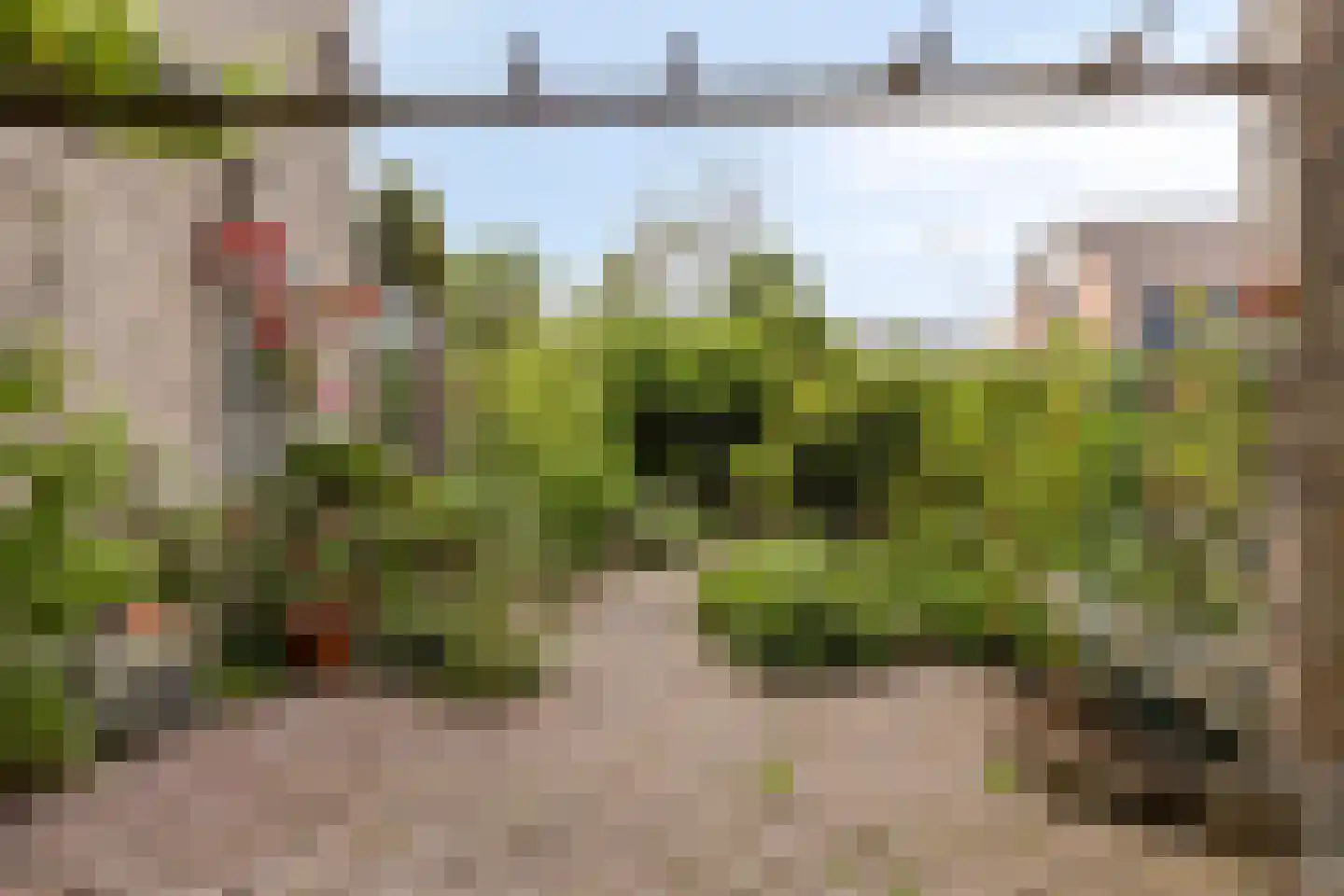 Bloemgaarde 73 Castricum thumbnail 4