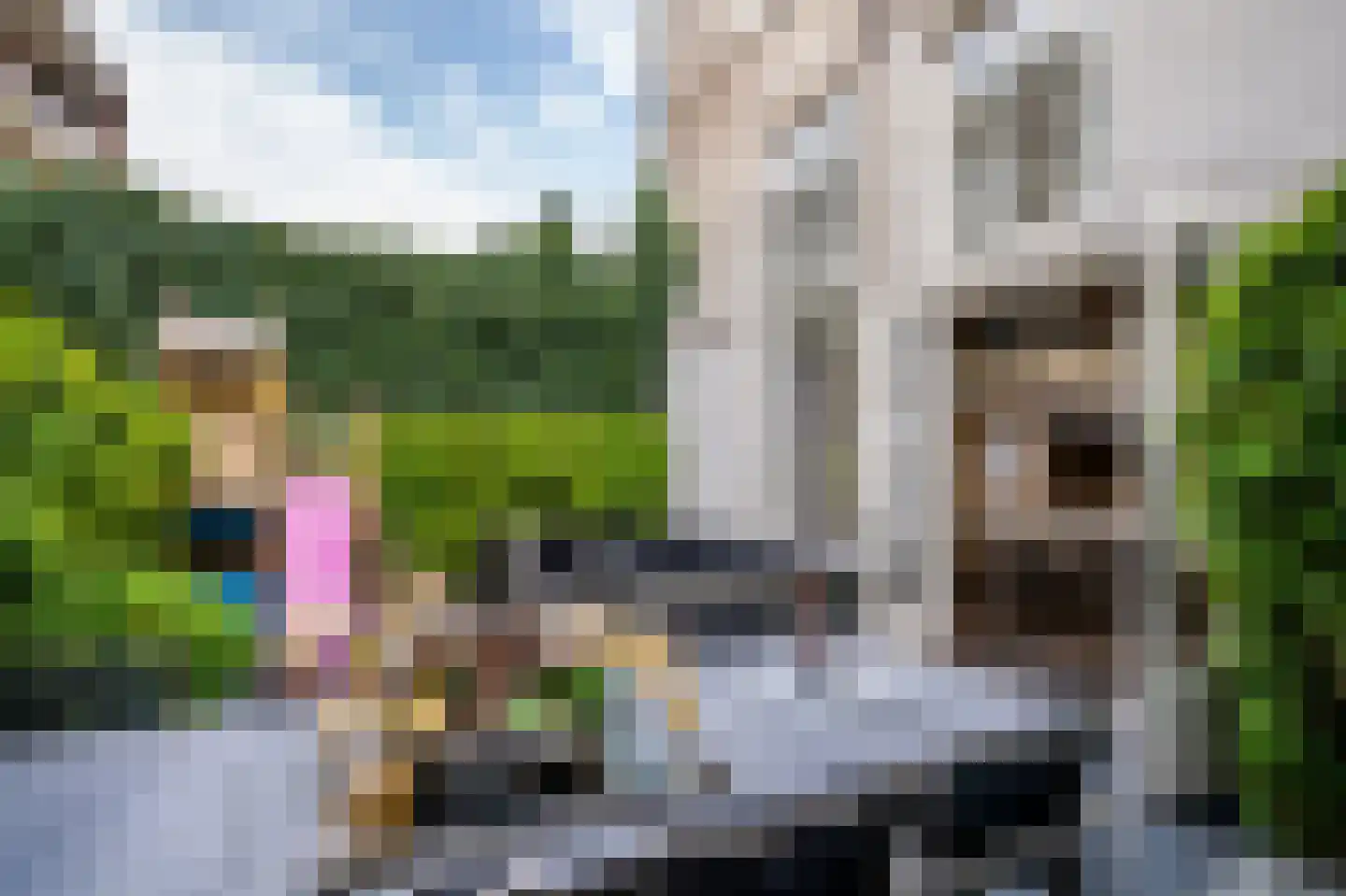Bloemgracht 129 A 3 Amsterdam thumbnail 26