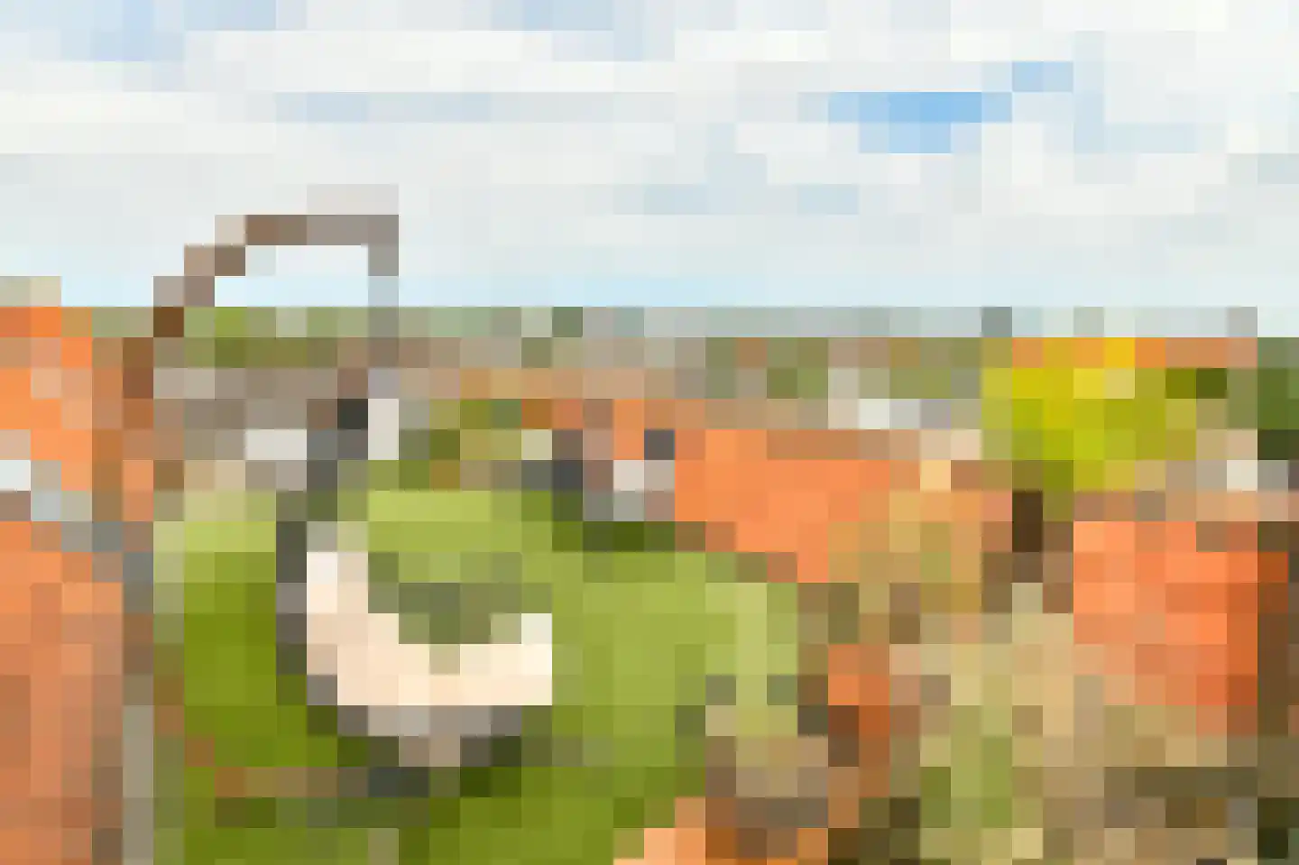 Bloemgracht 129 A 5L Amsterdam thumbnail 20