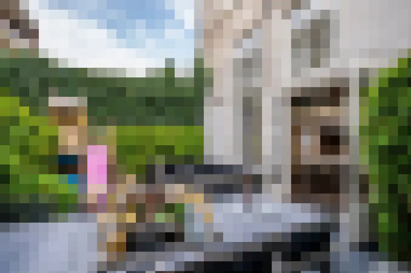 Bloemgracht 129 A H Amsterdam thumbnail 21