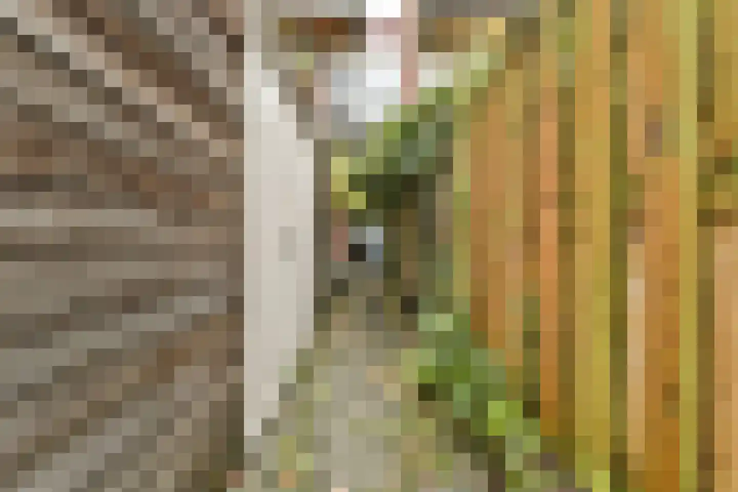 Bloemgracht 132 Amsterdam thumbnail 31