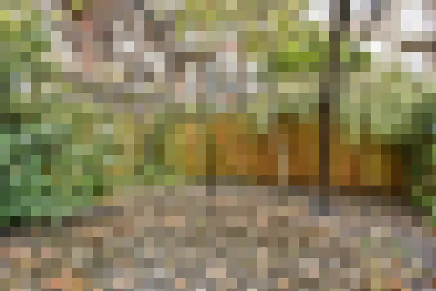 Bloemgracht 132 Amsterdam thumbnail 32