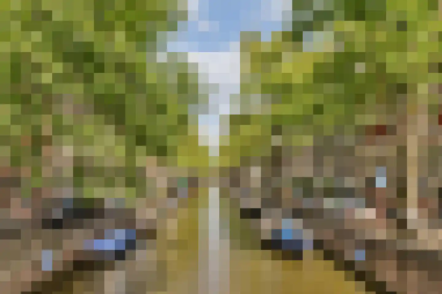 Bloemgracht 132 Amsterdam thumbnail 34