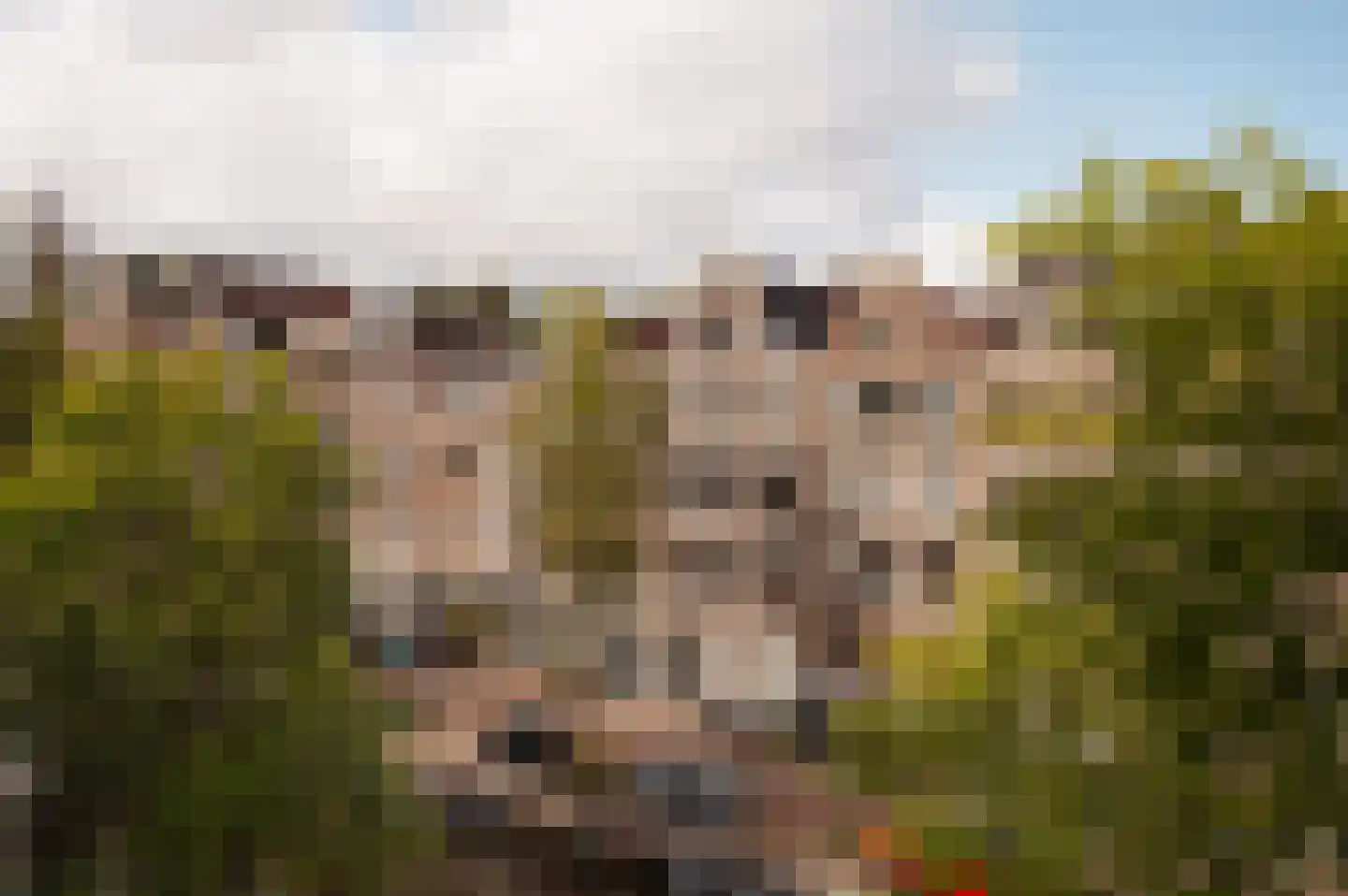 Bloemgracht 133 3 Amsterdam thumbnail 10