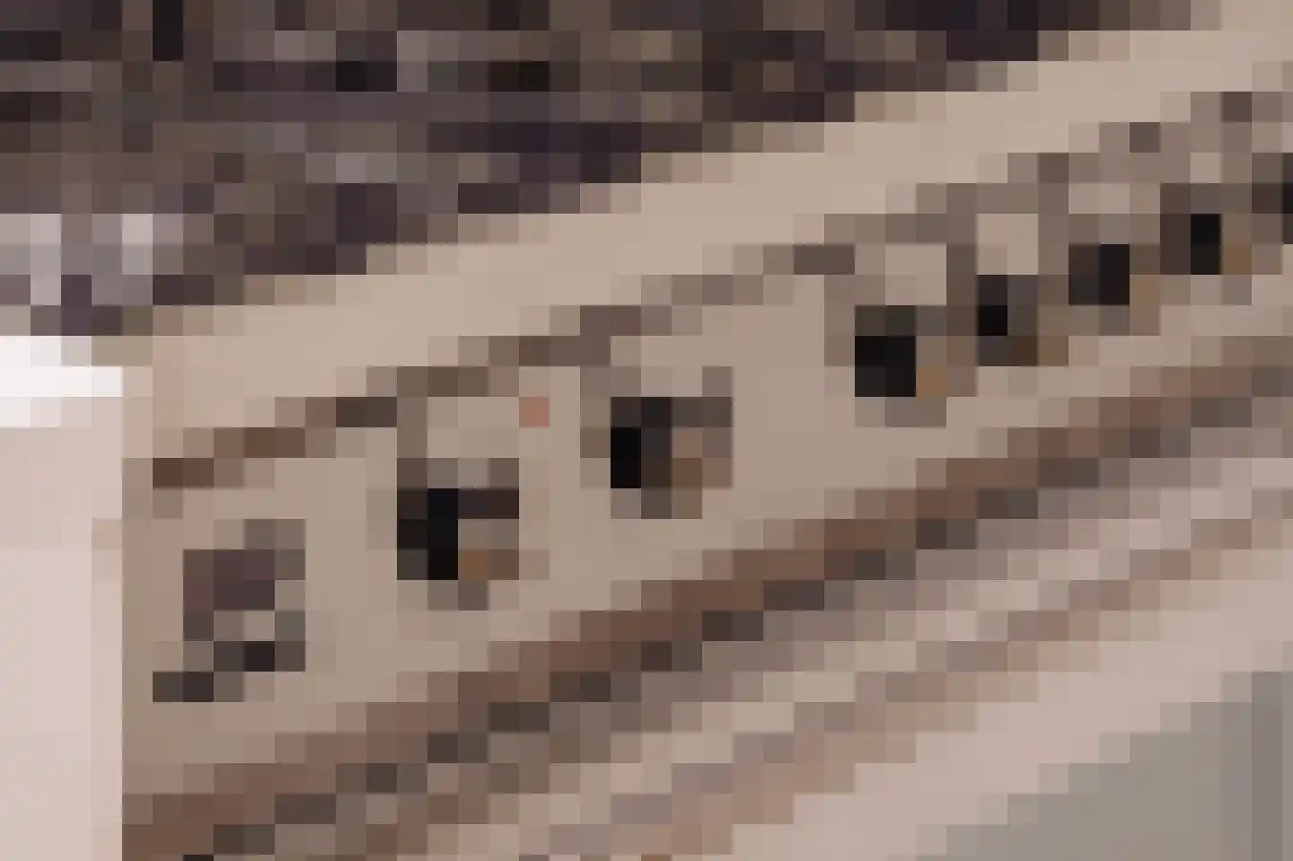 Bloemgracht 133 3 Amsterdam thumbnail 14