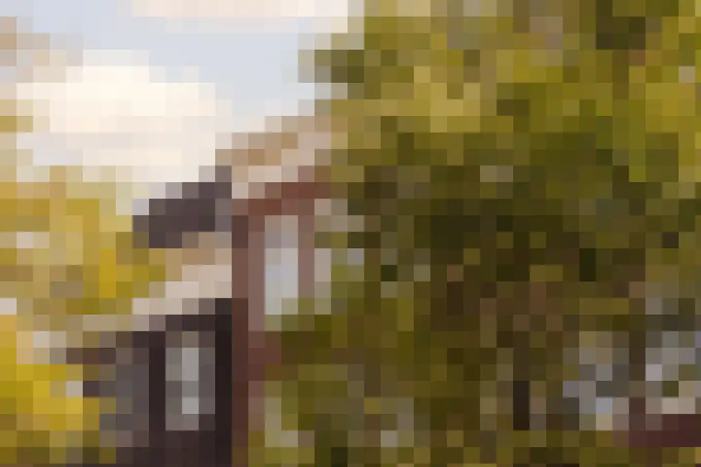 Bloemgracht 133 3 Amsterdam thumbnail 6