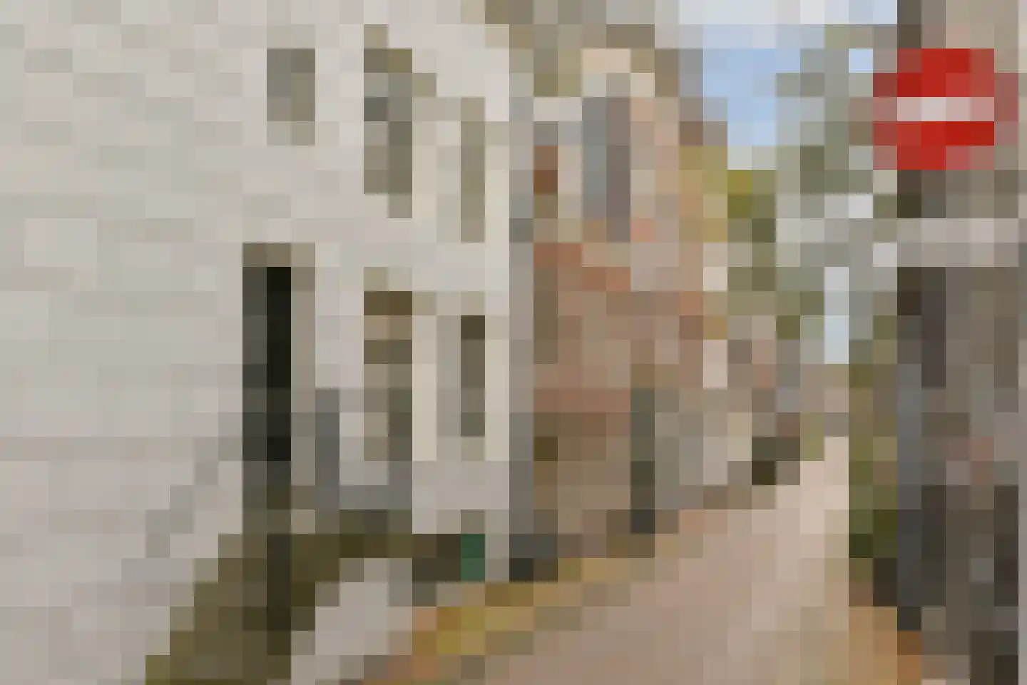 Bloemgracht 137 2 Amsterdam thumbnail 21