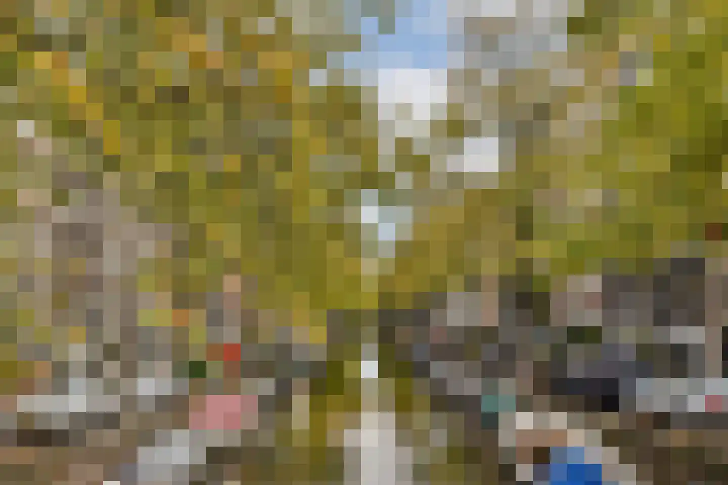 Bloemgracht 137 2 Amsterdam thumbnail 22