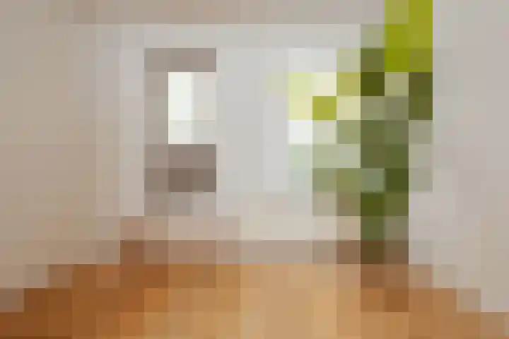 Bloemgracht 144 Amsterdam thumbnail 19
