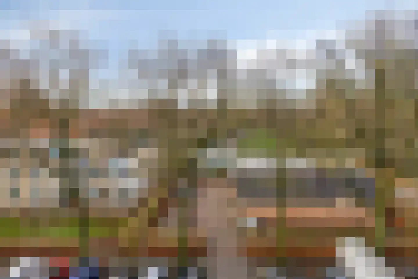 Bloemgracht 156 Zaandam thumbnail 23