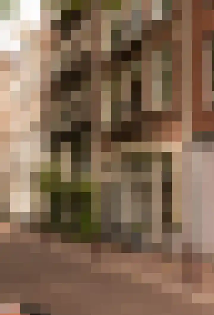 Bloemgracht 16 B Amsterdam thumbnail 38