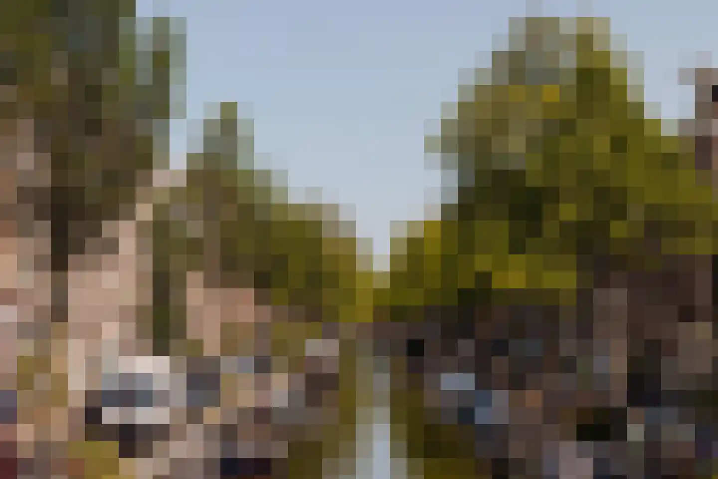 Bloemgracht 175 Amsterdam thumbnail 26