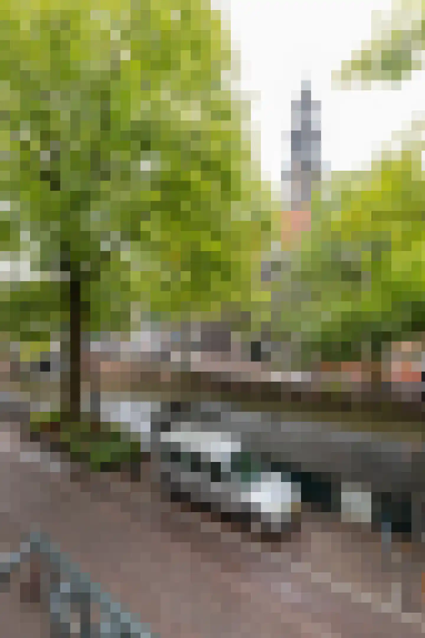 Bloemgracht 20 1 Amsterdam thumbnail 11