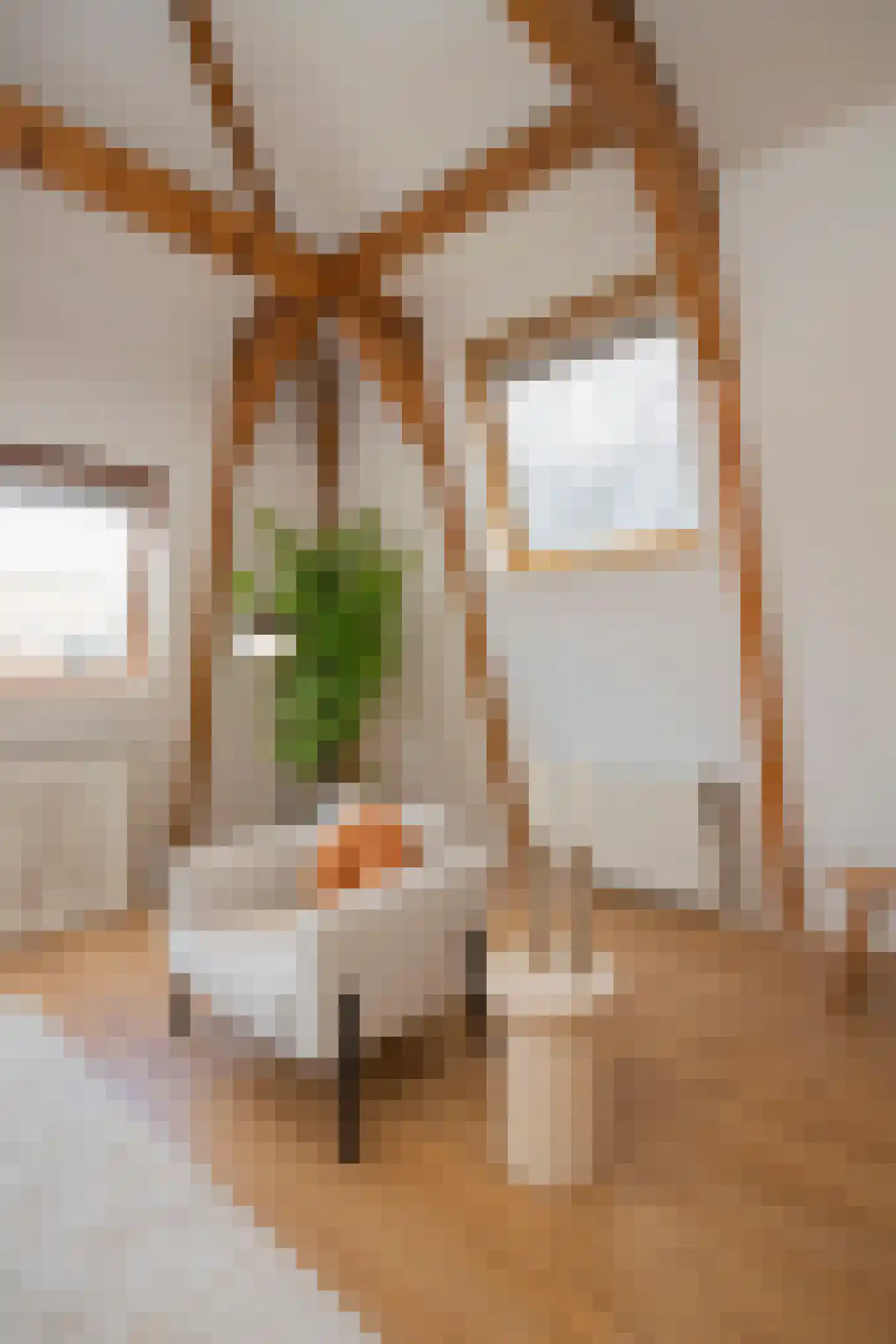 Bloemgracht 20 1 Amsterdam thumbnail 16