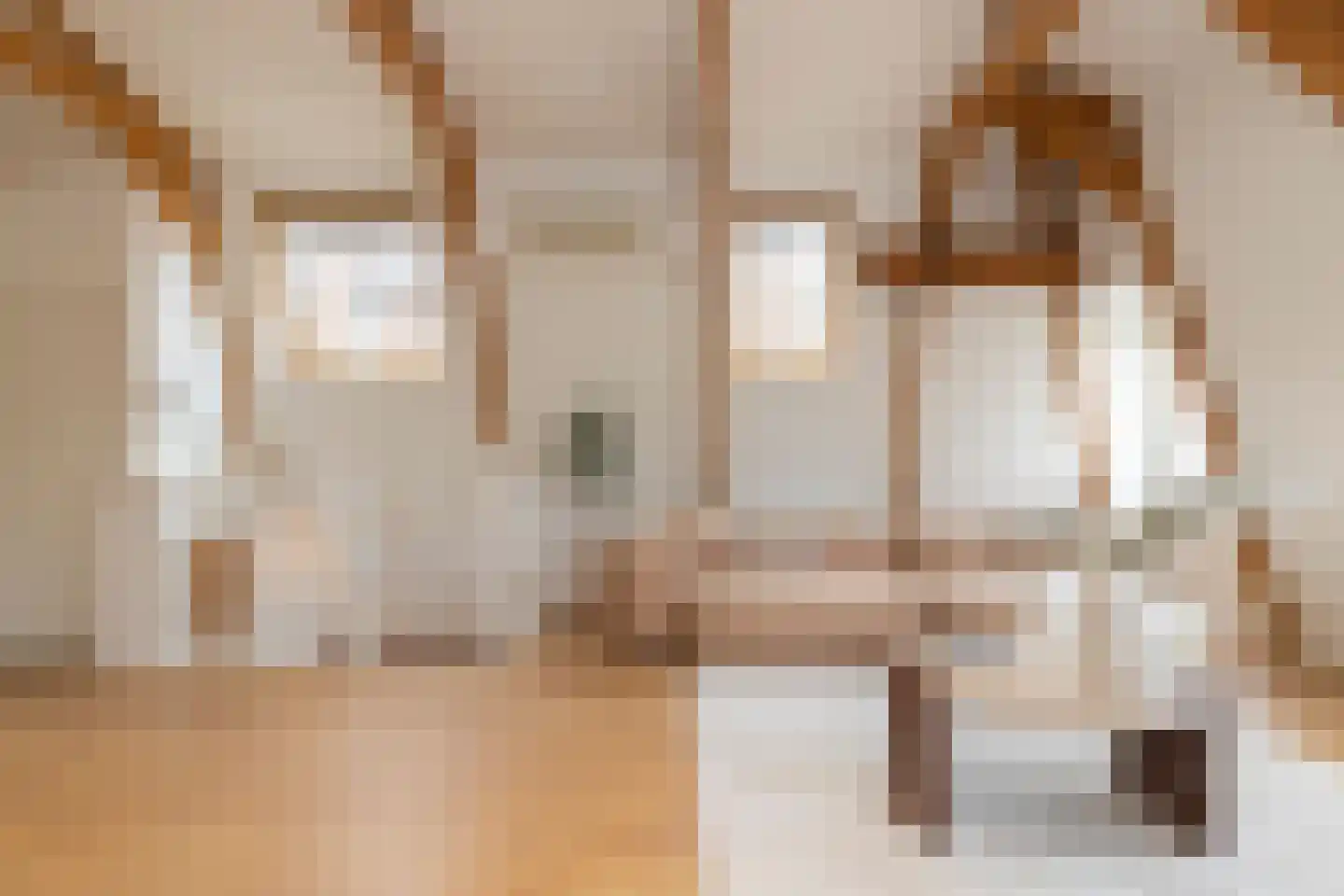 Bloemgracht 20 1 Amsterdam thumbnail 17