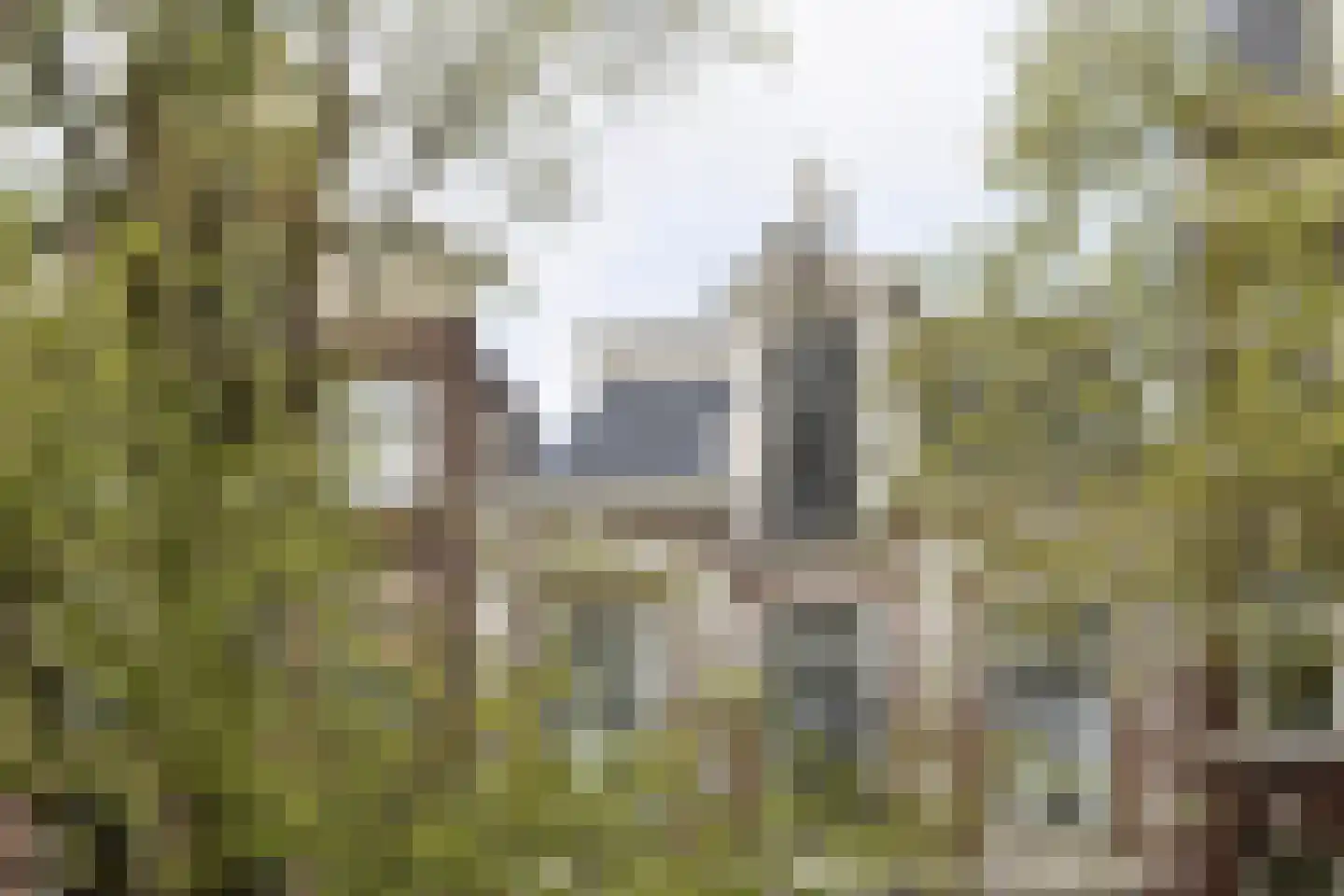 Bloemgracht 20 1 Amsterdam thumbnail 23