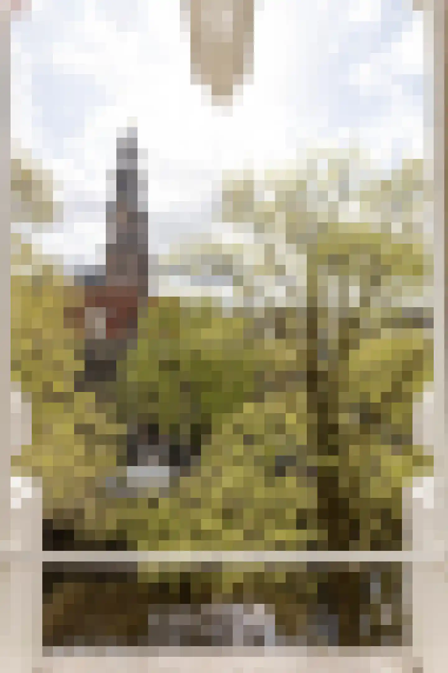 Bloemgracht 20 1 Amsterdam thumbnail 4