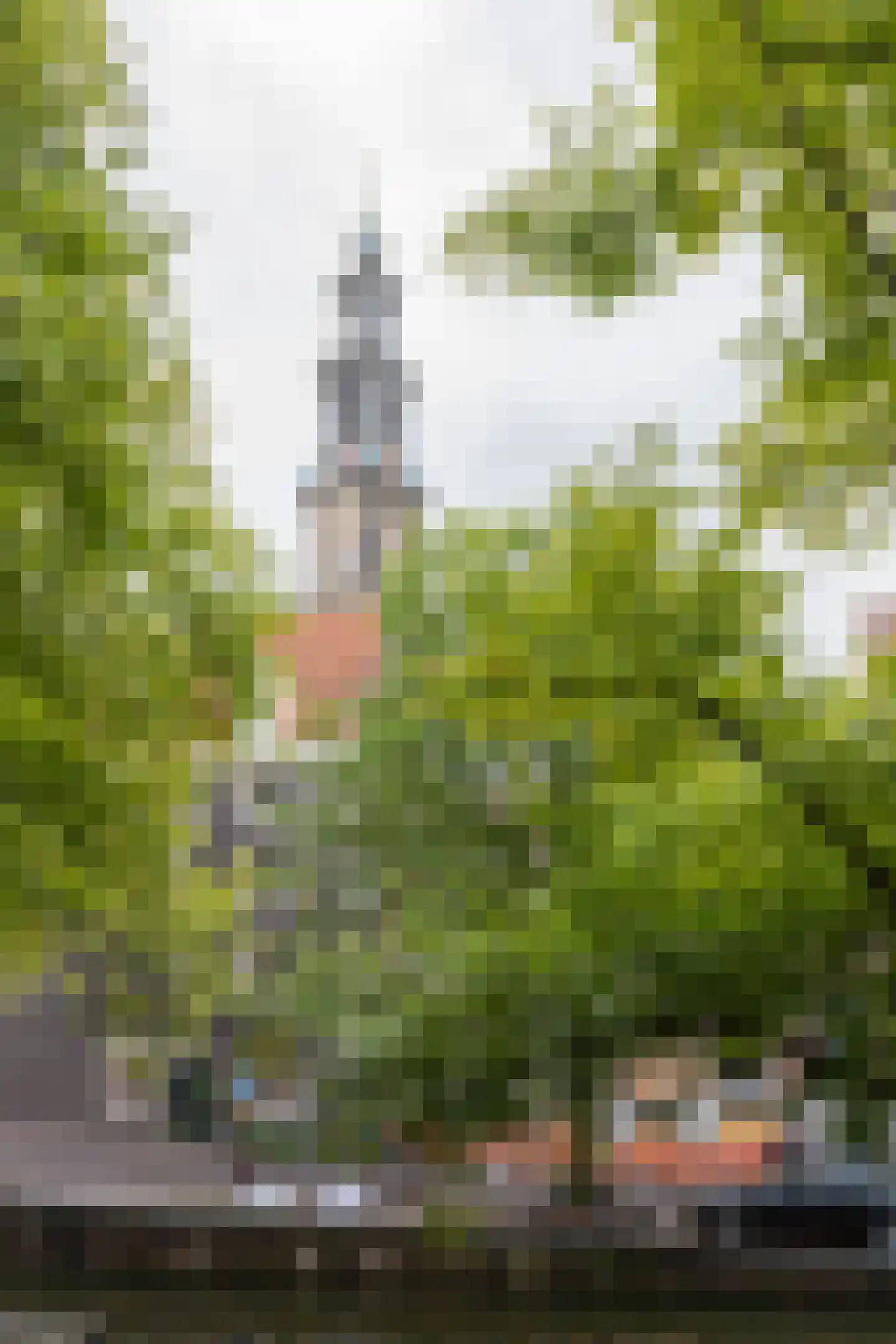 Bloemgracht 20 1 Amsterdam thumbnail 44