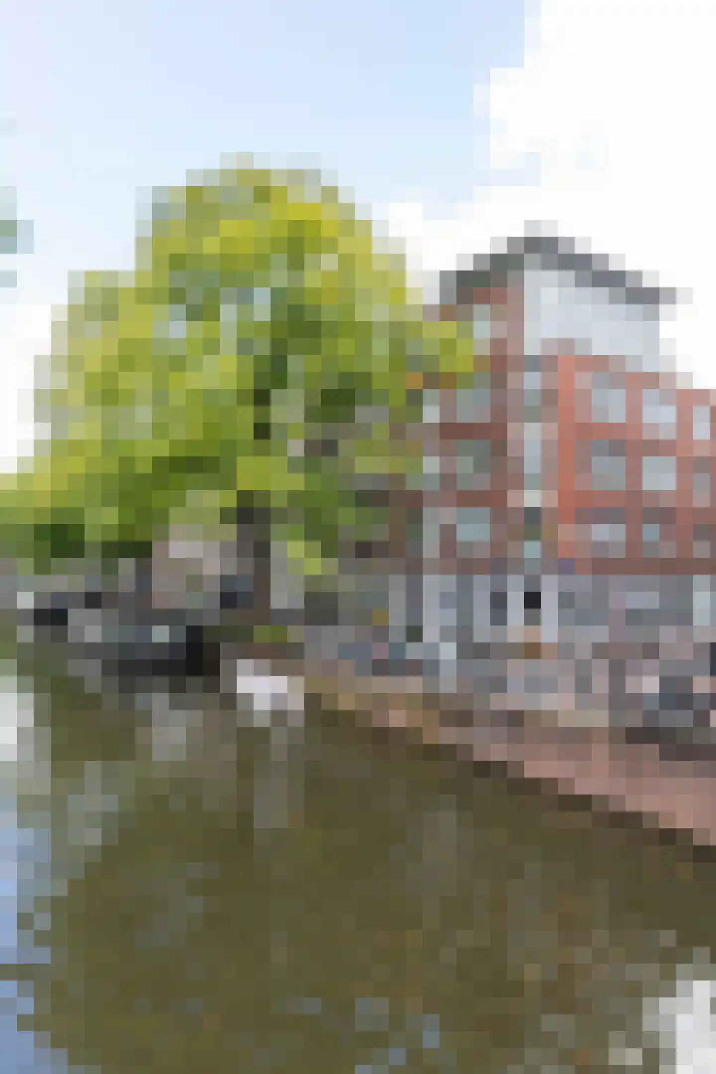 Bloemgracht 20 1 Amsterdam thumbnail 46