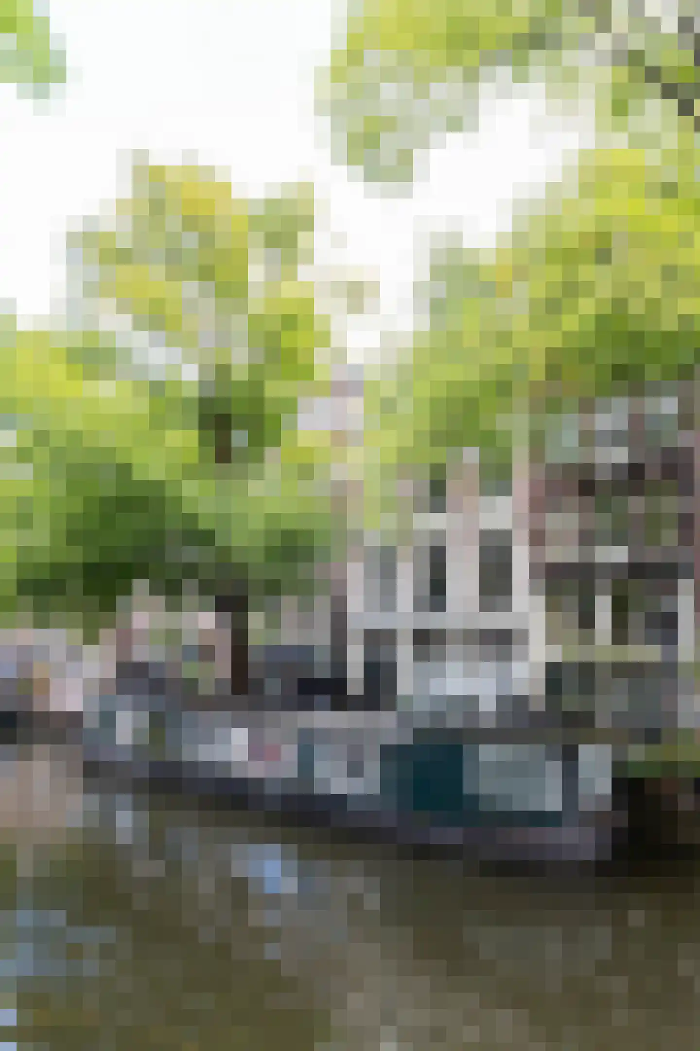 Bloemgracht 20 1 Amsterdam thumbnail 47