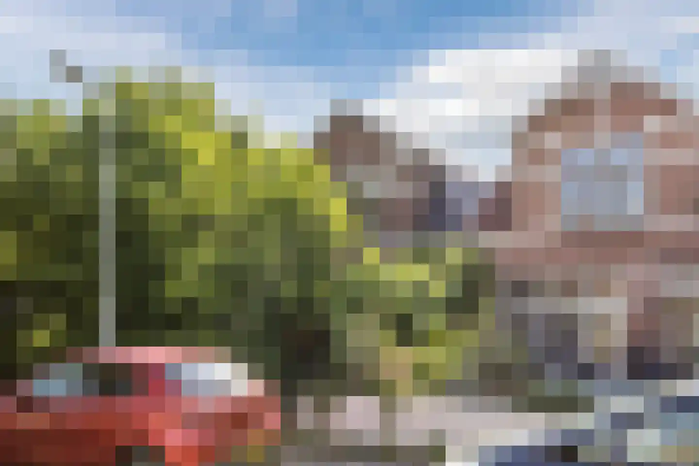 Bloemgracht 20 dans Zaandam