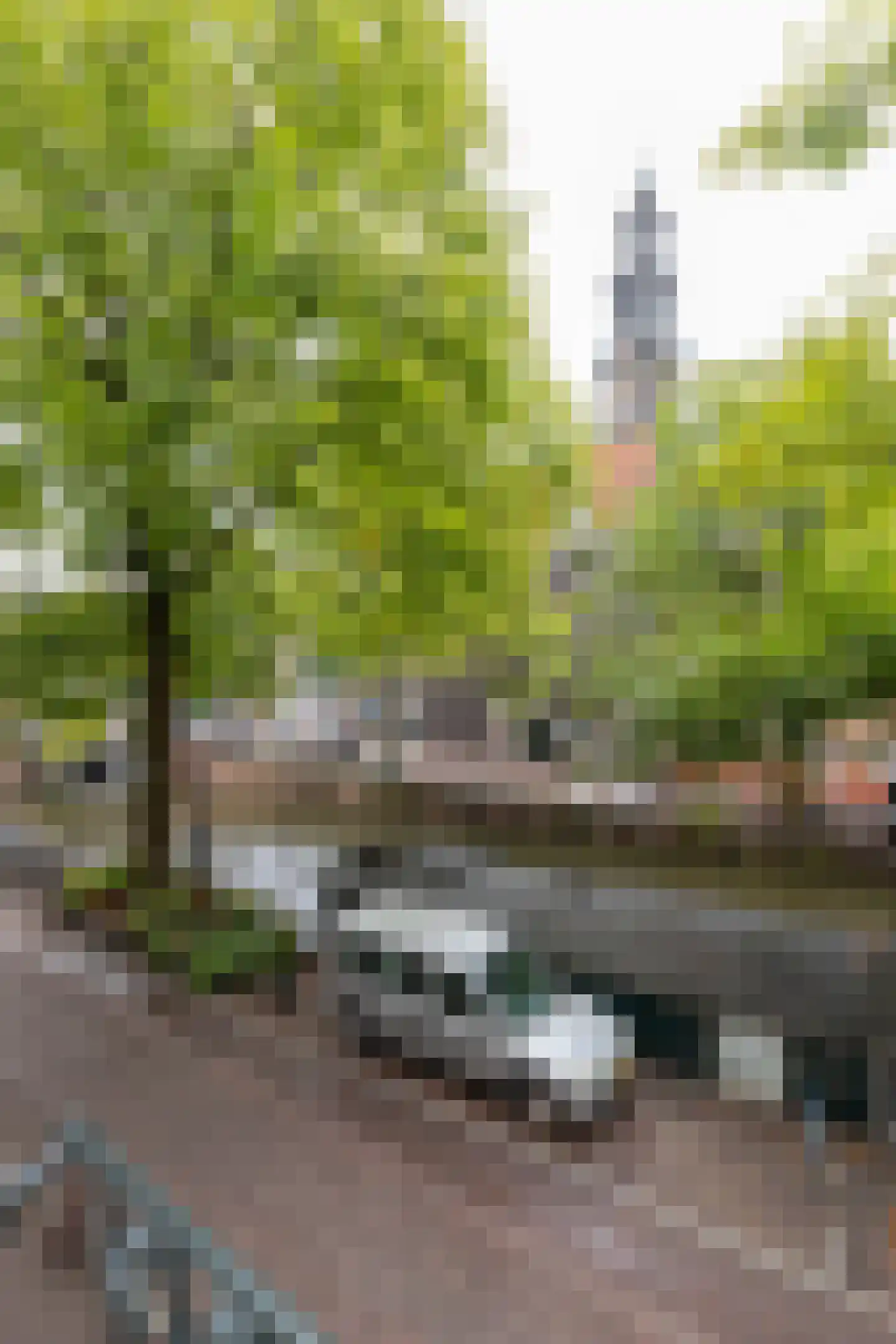 Bloemgracht 20 3 Amsterdam thumbnail 11