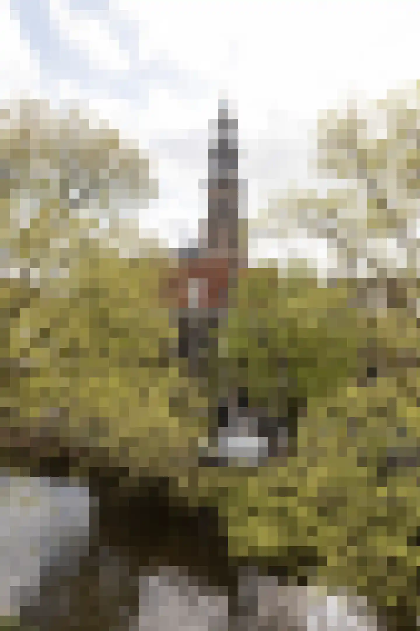 Bloemgracht 20 3 Amsterdam thumbnail 20