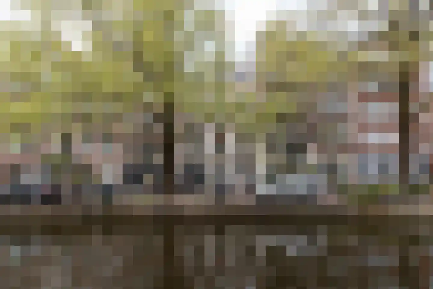 Bloemgracht 20 3 Amsterdam thumbnail 24