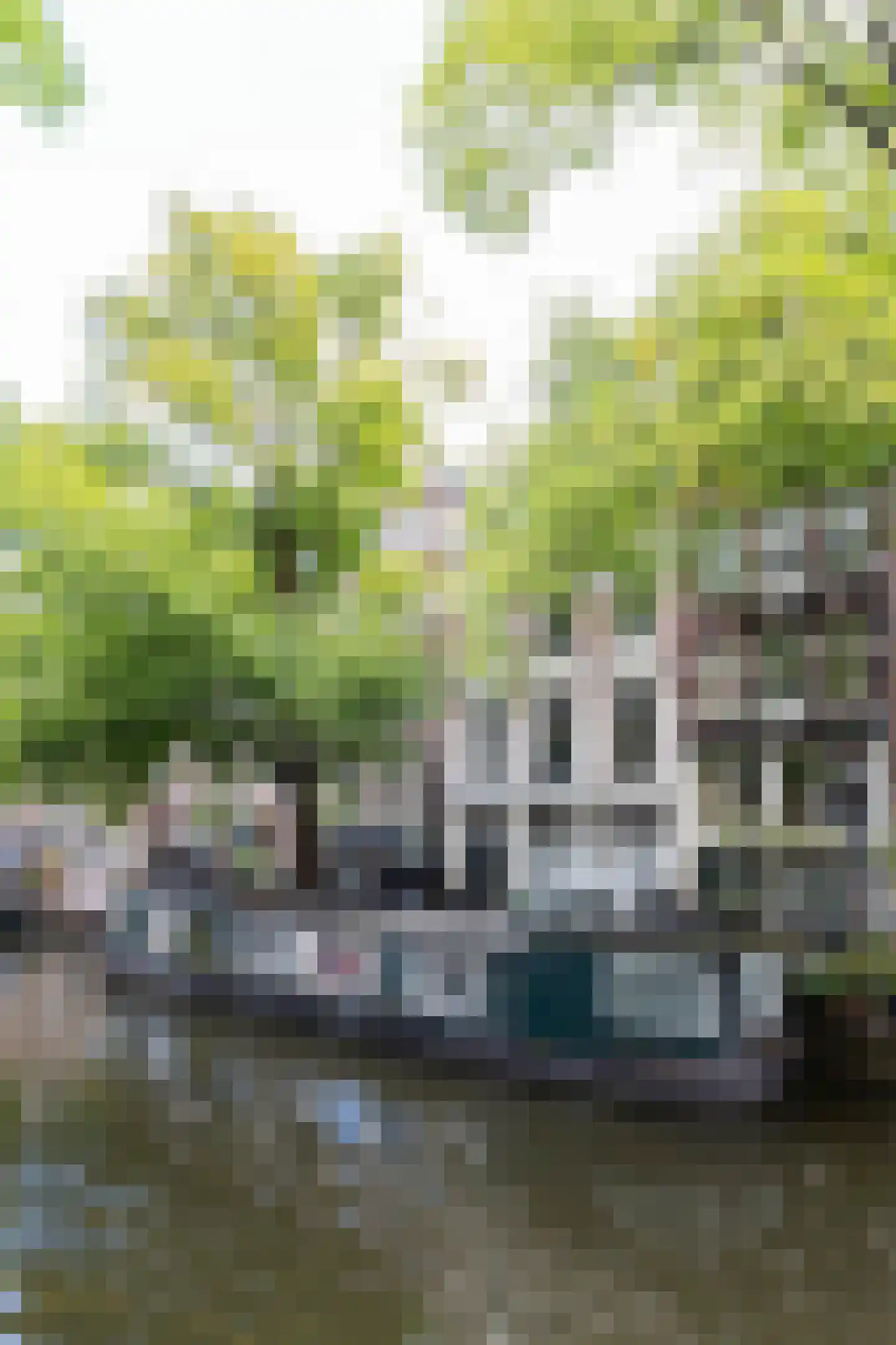 Bloemgracht 20 3 Amsterdam thumbnail 46