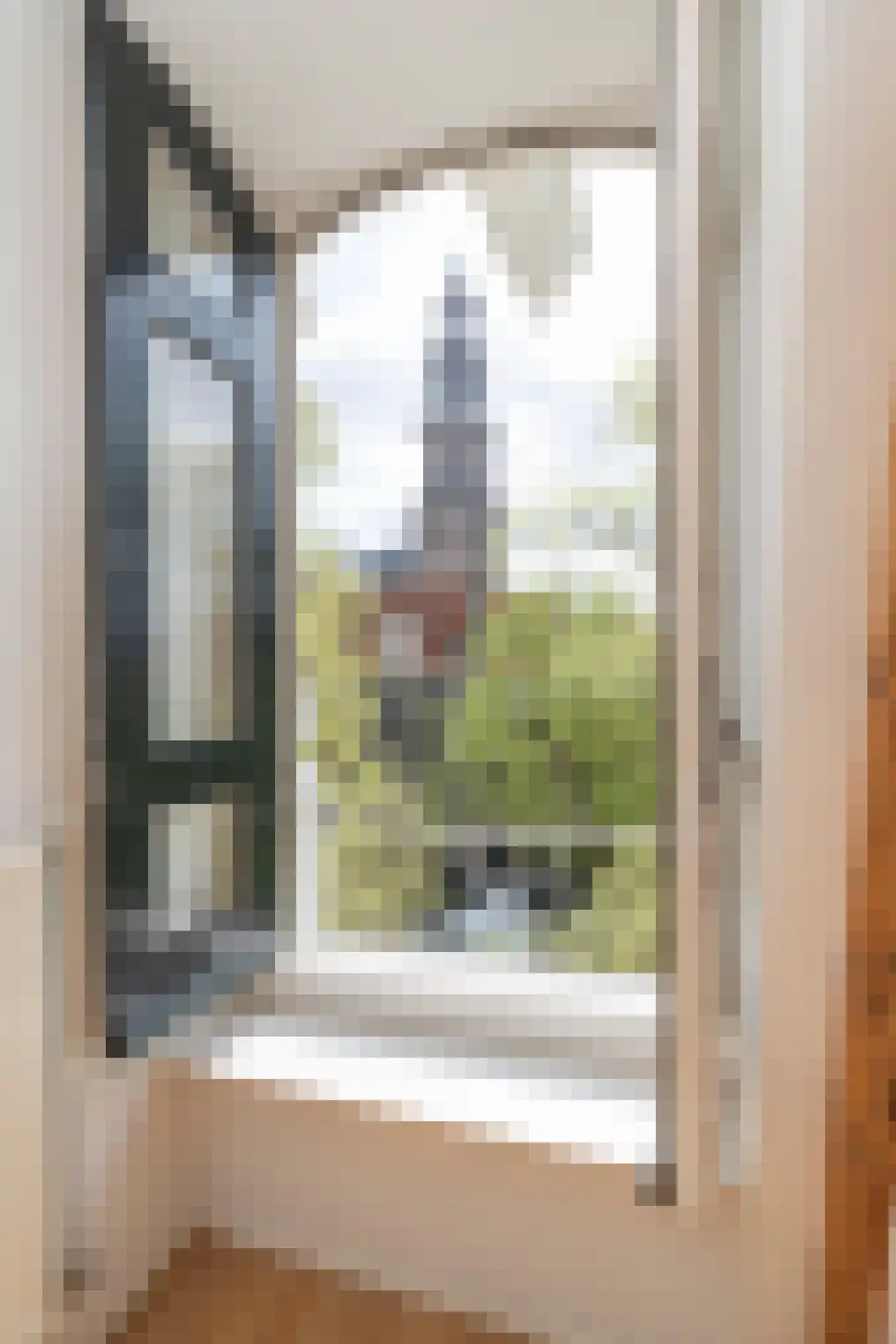 Bloemgracht 20 3 Amsterdam thumbnail 5