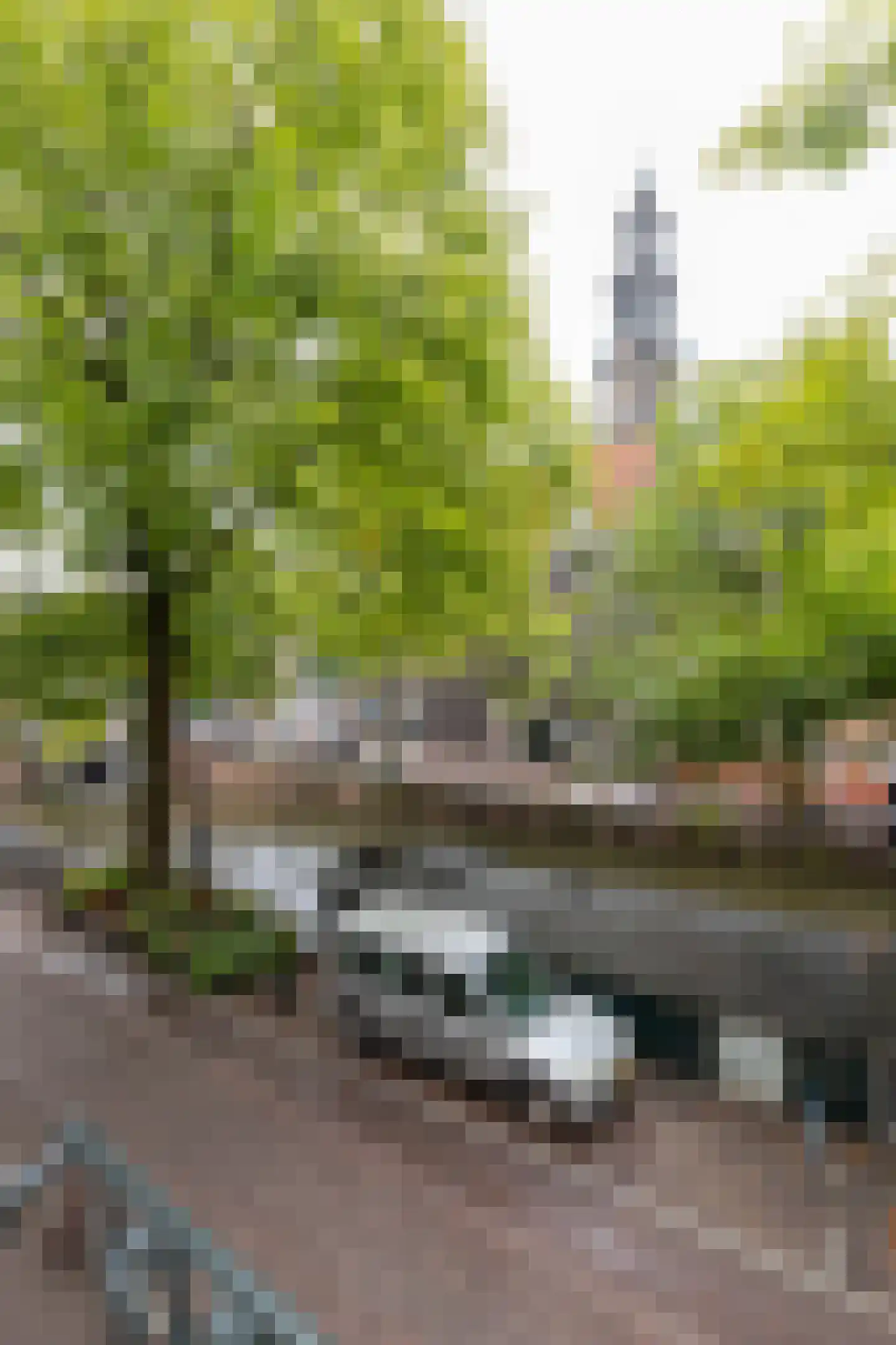 Bloemgracht 20 H Amsterdam thumbnail 11