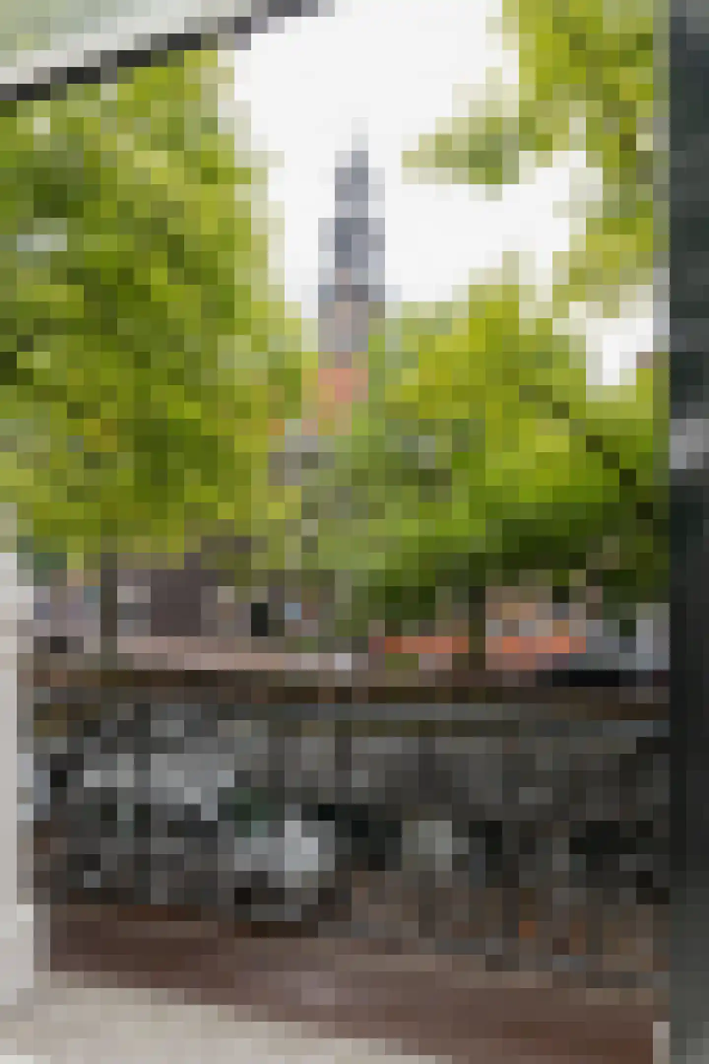 Bloemgracht 20 H Amsterdam thumbnail 5