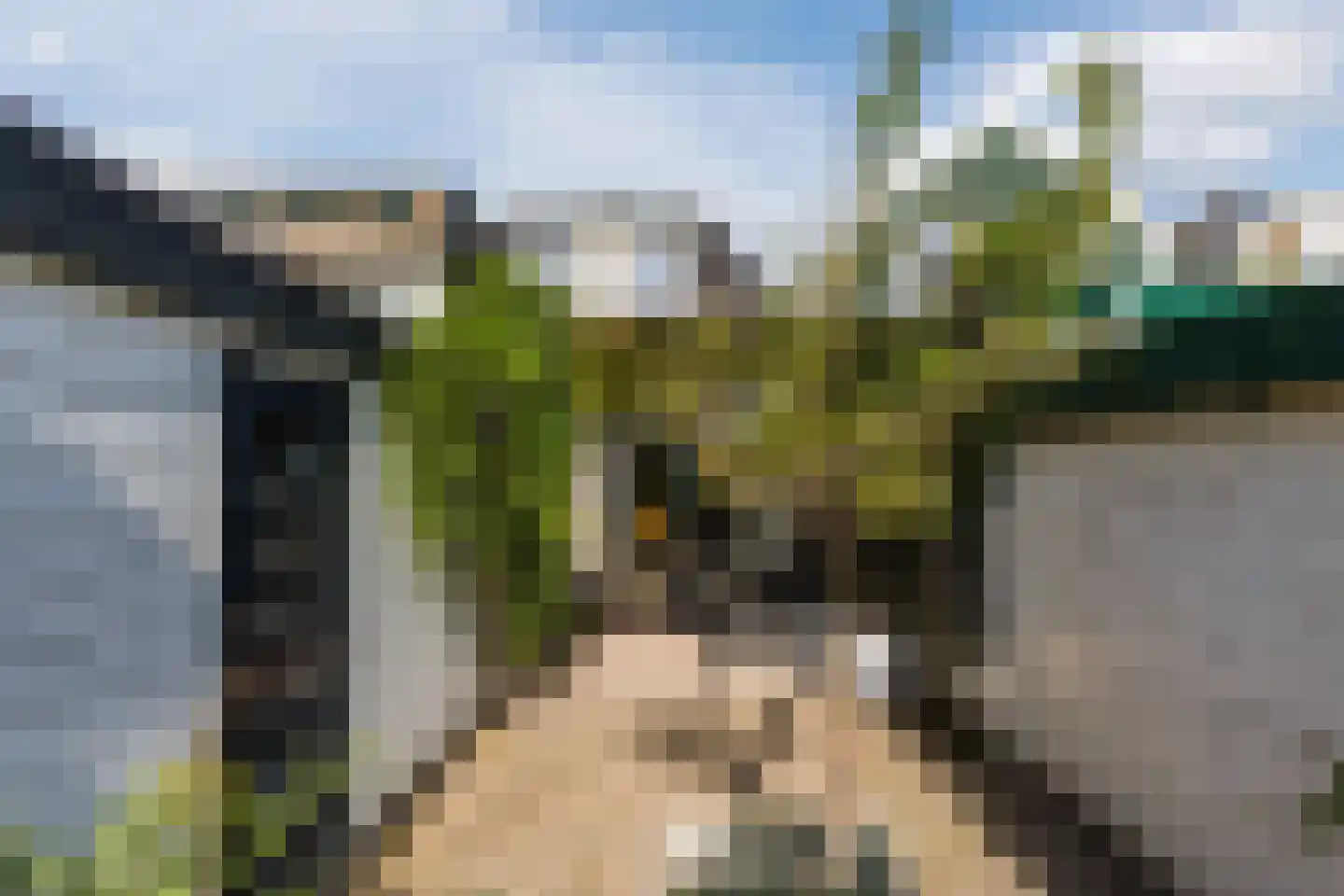 Bloemgracht 20 Zaandam thumbnail 20