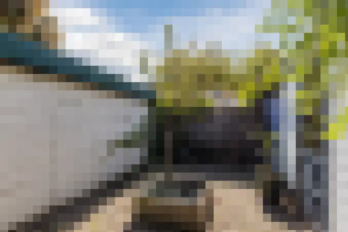 Bloemgracht 20 Zaandam thumbnail 21