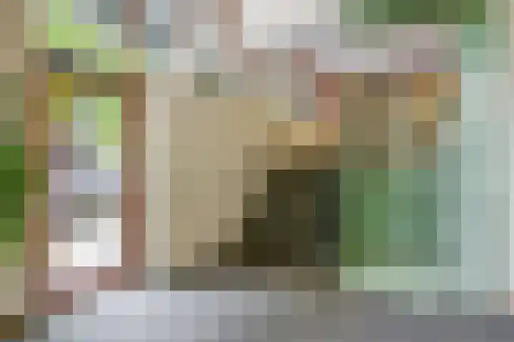 Bloemgracht 200 Zaandam thumbnail 32